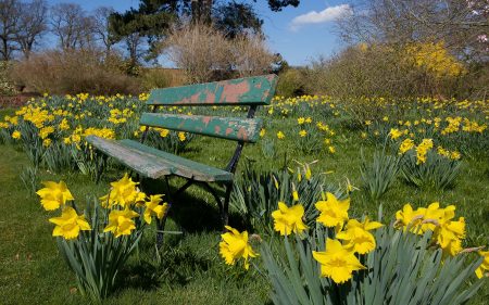 Papel de parede Jardim Botânico para download gratuito. Use no computador pc, mac, macbook, celular, smartphone, iPhone, onde quiser!