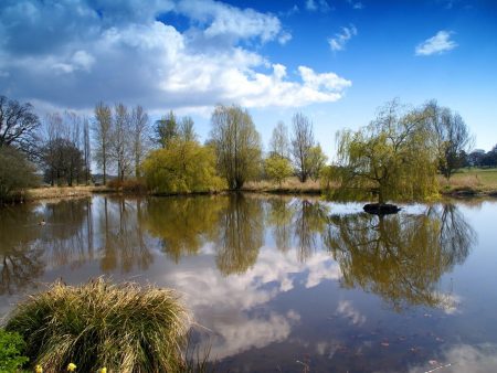 Papel de parede Lago dos Patos para download gratuito. Use no computador pc, mac, macbook, celular, smartphone, iPhone, onde quiser!