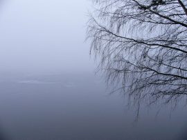 Papel de parede Lago sob neblina