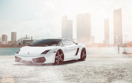 Papel de parede Lamborghini Gallardo Branca para download gratuito. Use no computador pc, mac, macbook, celular, smartphone, iPhone, onde quiser!