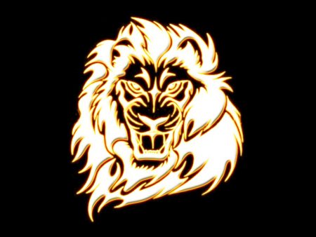 Papel de parede Leão dourado para download gratuito. Use no computador pc, mac, macbook, celular, smartphone, iPhone, onde quiser!