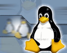 Papel de parede Linux pingüim