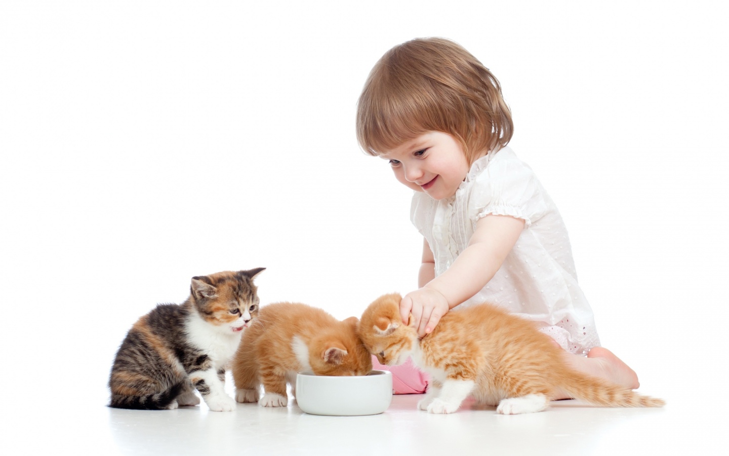 Детки играют с кисками. Забота о домашних животных. Домашние животные для детей. Кошка для детей. Малыши. Домашние животные.