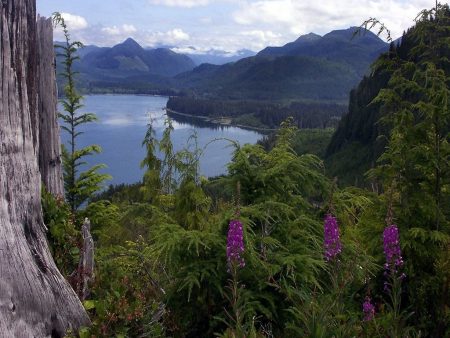 Papel de parede Montanhas e lago para download gratuito. Use no computador pc, mac, macbook, celular, smartphone, iPhone, onde quiser!