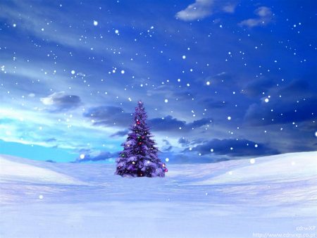 Papel de parede Natal – Delicada Árvore para download gratuito. Use no computador pc, mac, macbook, celular, smartphone, iPhone, onde quiser!