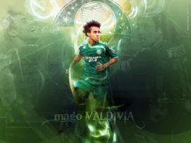 Papel de parede Palmeiras #1
