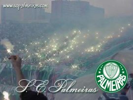 Papel de parede Palmeiras #3