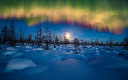 Papel de parede Aurora Boreal de inverno para download gratuito. Use no computador pc, mac, macbook, celular, smartphone, iPhone, onde quiser!