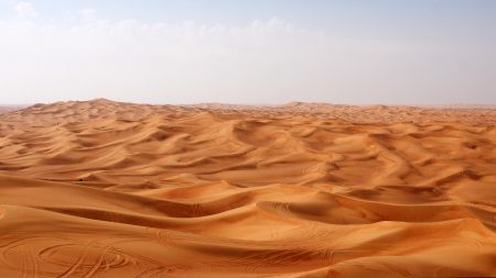 Papel de parede As Ondas de Areia do Deserto para download gratuito. Use no computador pc, mac, macbook, celular, smartphone, iPhone, onde quiser!