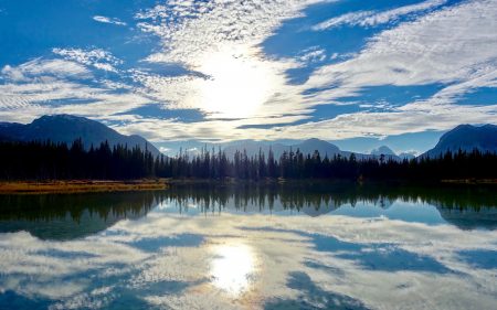 Papel de parede Reflexões de Lago ensolarado para download gratuito. Use no computador pc, mac, macbook, celular, smartphone, iPhone, onde quiser!