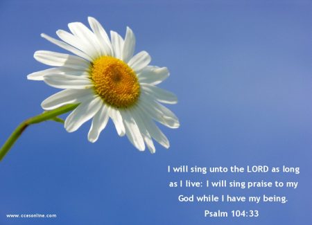 Papel de parede Salmo 104:33 para download gratuito. Use no computador pc, mac, macbook, celular, smartphone, iPhone, onde quiser!