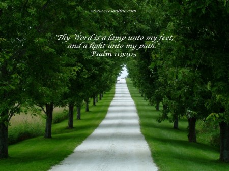 Papel de parede Salmo 119:105 para download gratuito. Use no computador pc, mac, macbook, celular, smartphone, iPhone, onde quiser!