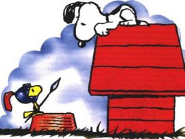 Papel de parede Snoopy – Batalha