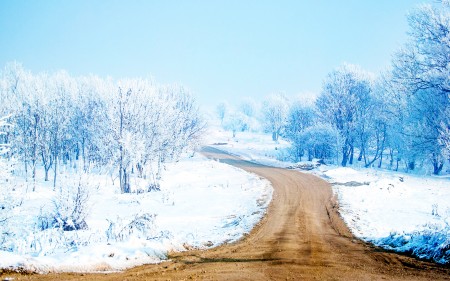 Papel de parede Caminho Entre a Neve para download gratuito. Use no computador pc, mac, macbook, celular, smartphone, iPhone, onde quiser!