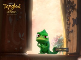 Papel de parede Pascal – Filme Rapunzel