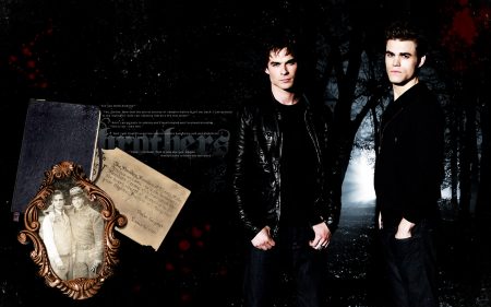 Papel de parede The Vampire Diaries – Irmãos para download gratuito. Use no computador pc, mac, macbook, celular, smartphone, iPhone, onde quiser!