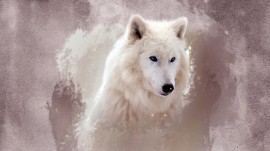 Papel de parede Pintura de um Lobo Branco