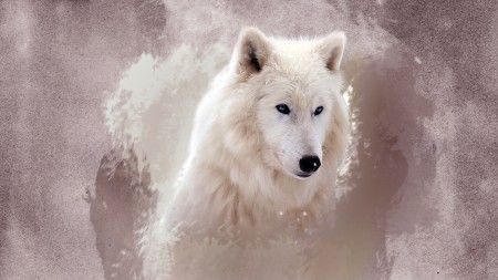 Papel de parede Pintura de um Lobo Branco para download gratuito. Use no computador pc, mac, macbook, celular, smartphone, iPhone, onde quiser!