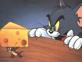 Papel de parede Tom & Jerry – Rivais