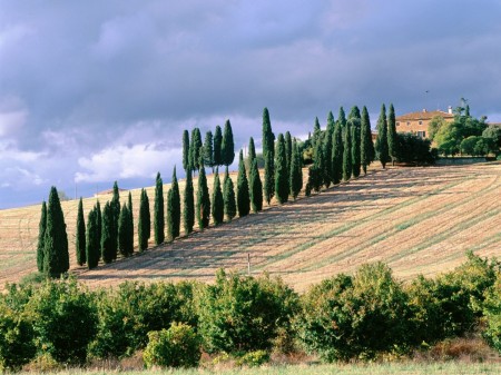 Papel de parede Val d Orcia, Itália para download gratuito. Use no computador pc, mac, macbook, celular, smartphone, iPhone, onde quiser!