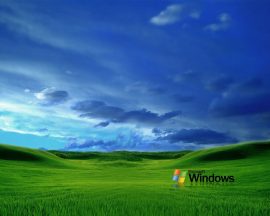 Papel de parede Windows Vista Campo