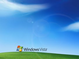 Papel de parede Windows Vista gramado