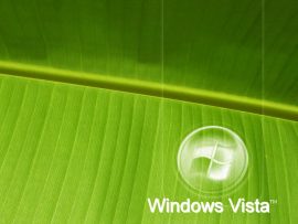 Papel de parede Windows Vista2