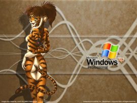 Papel de parede Windows XP tigre