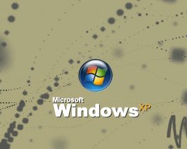 Papel de parede Windows XP4