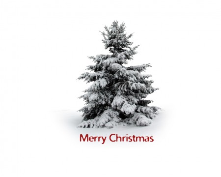Papel de parede Árvore de Natal para download gratuito. Use no computador pc, mac, macbook, celular, smartphone, iPhone, onde quiser!